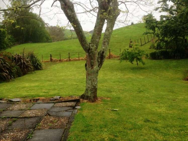 10 View Terrace Piopio_12