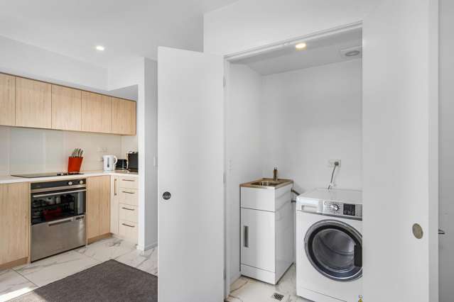 23 Hargest Crescent Sydenham_1