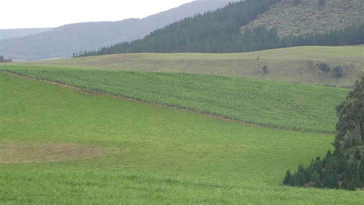 44 Rodgers Road Catlins Surrounds_22