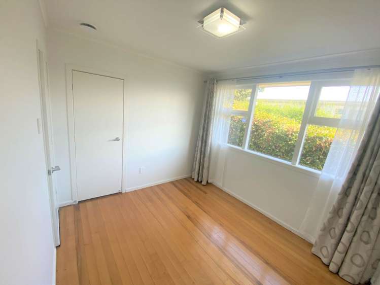 303a Hillsborough Road Hillsborough_10