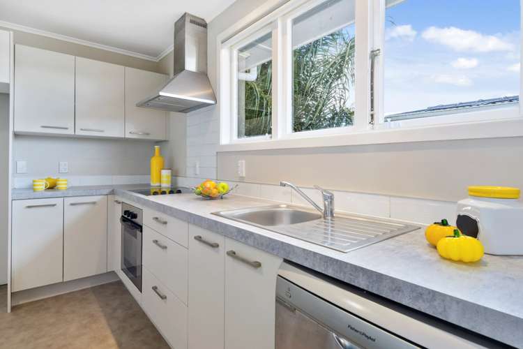 102 Swanson Road Henderson_11