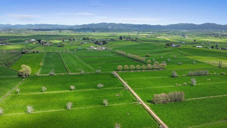 520 Lake Road Horsham Downs_40