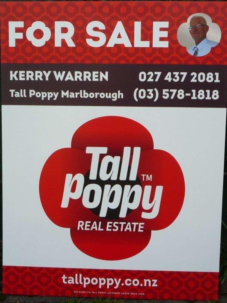 30 Clyde Street Renwick_19