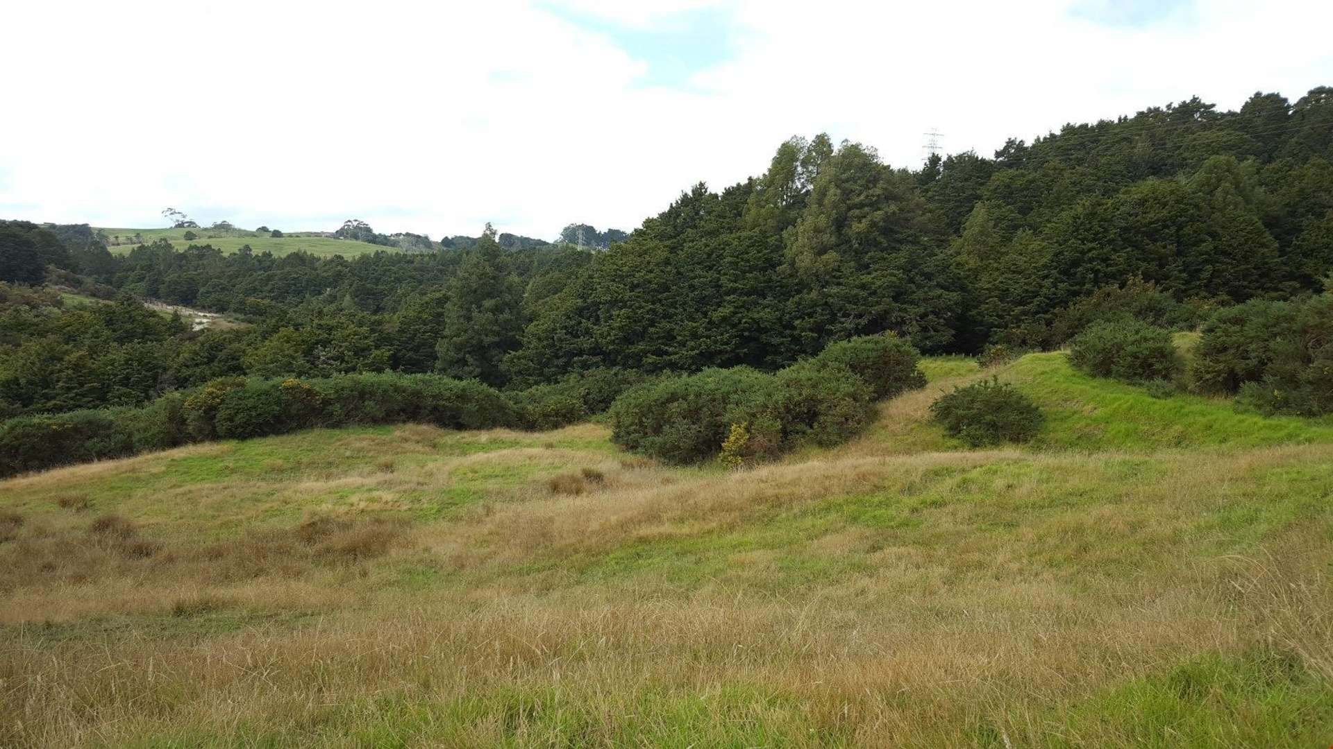 87 Kiwi Lane Kaiwaka_0