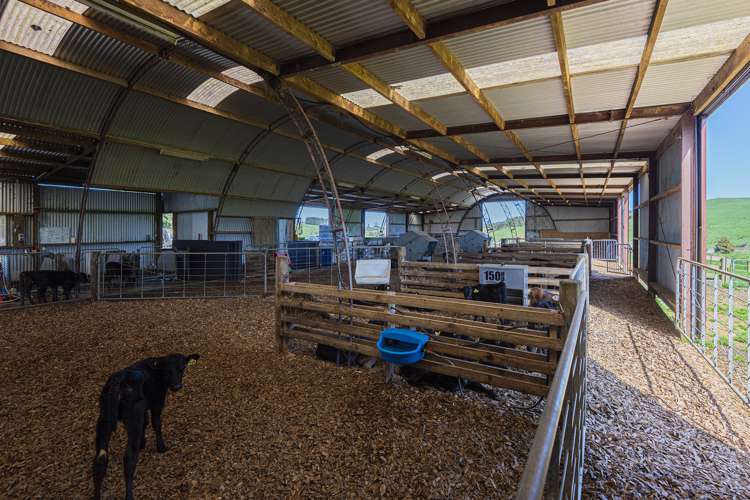 24 Foster Road Dargaville Surrounds_9