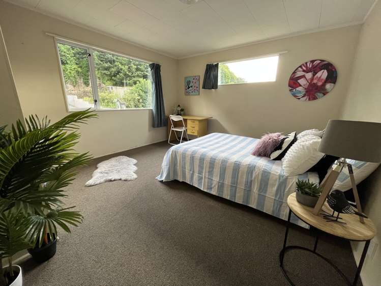 3 Serpentine Avenue Dunedin Central_2