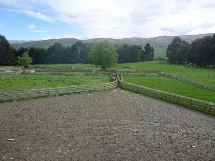 902 Moa Flat Road Ettrick_12