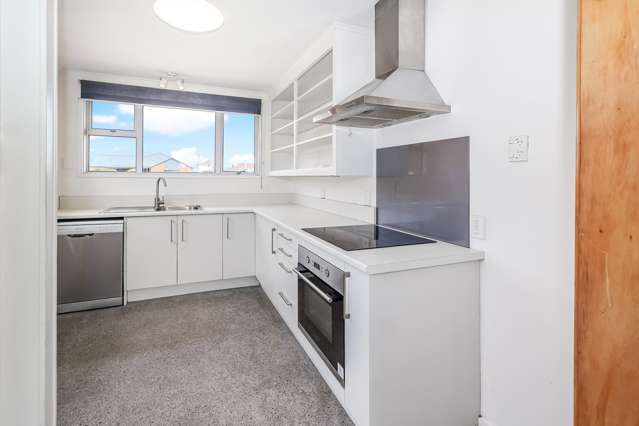 3/138 Macandrew Road South Dunedin_4