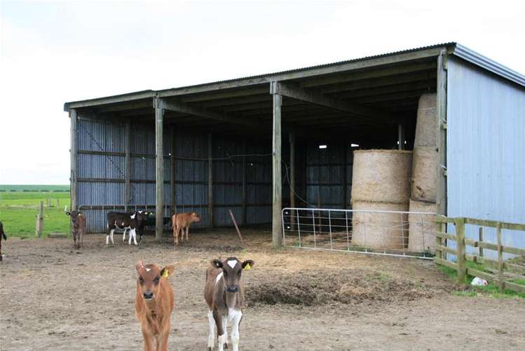 173 Anderson Road Eltham_14