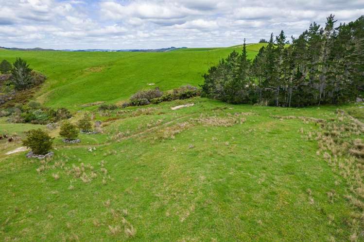 183A Wiroa Road Kerikeri_34