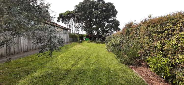 279b Hillsborough Road Hillsborough_1