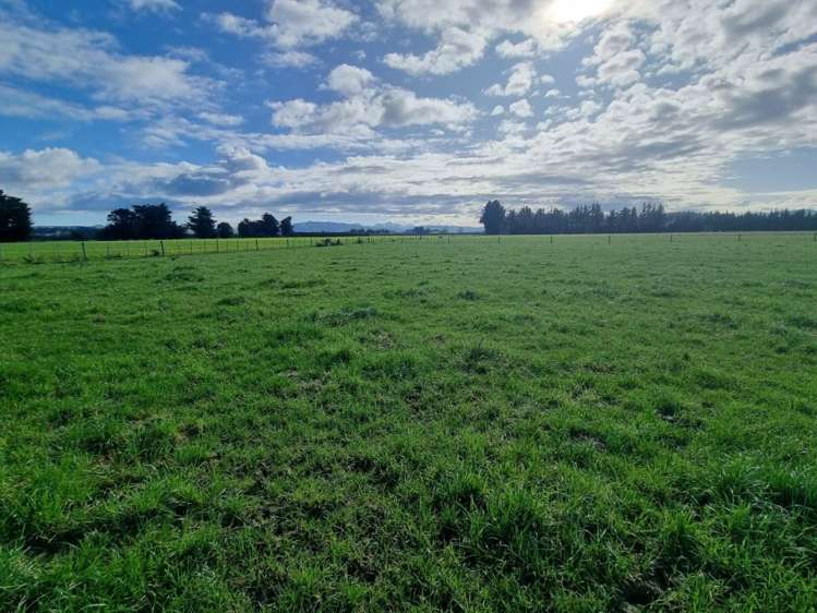 189 Homeview Road Cheviot_8