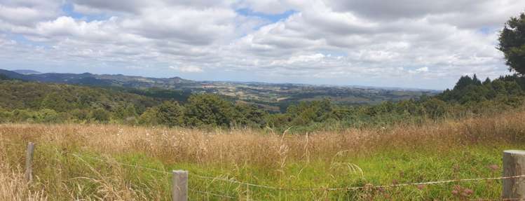 297a Wilson Road Wellsford_27