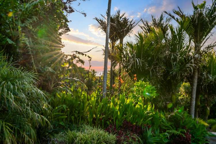 324 Motutara Road Muriwai_31