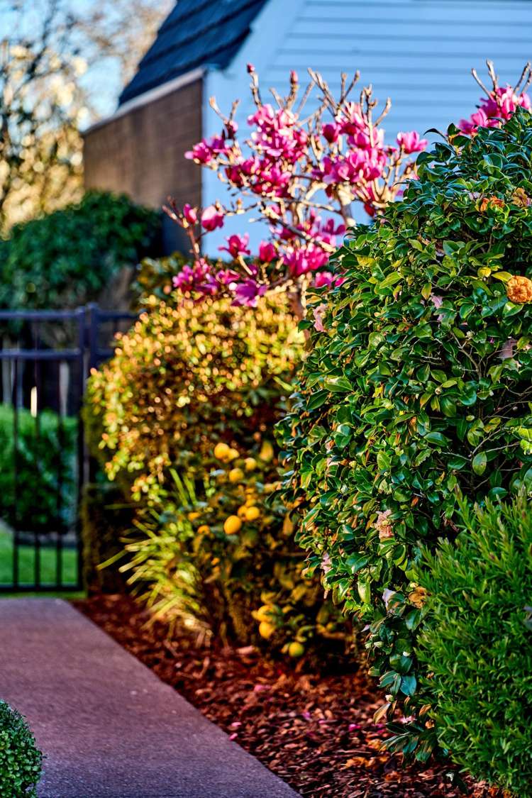 3 Hathaway Avenue Boulcott_31