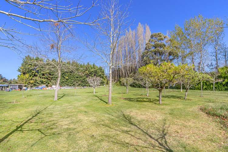 519 Avonhead Road Avonhead_26