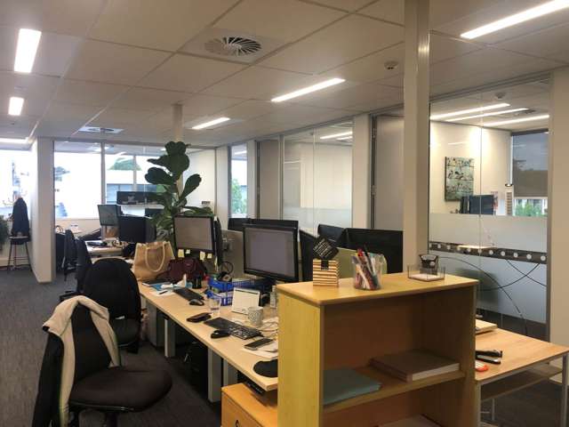 145 Manukau Road Epsom_3
