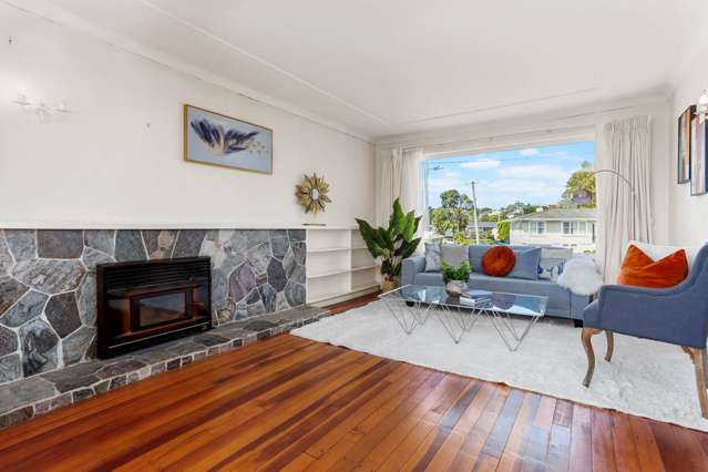 18 Camellia Place Mount Roskill_1