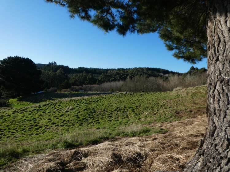 51 Needles Street Kaitangata_23