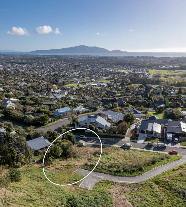 73 Kotare Street Waikanae_1