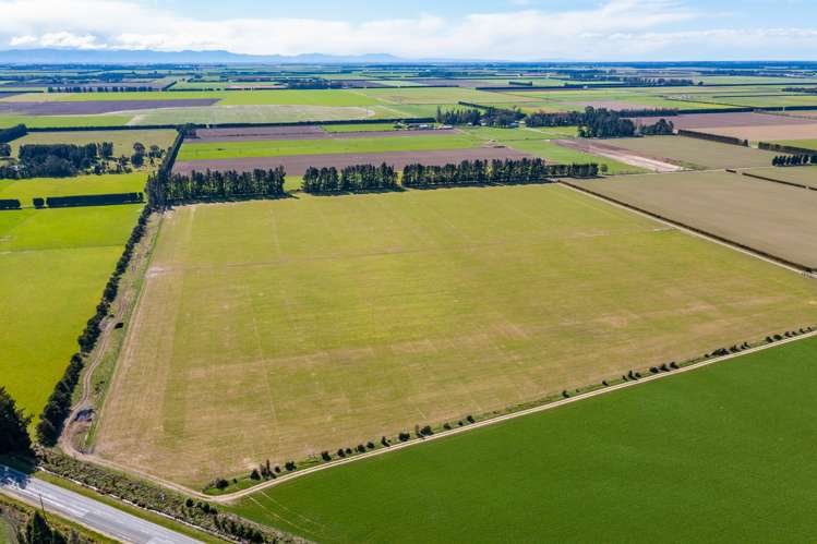 684 Telegraph Road Selwyn_33