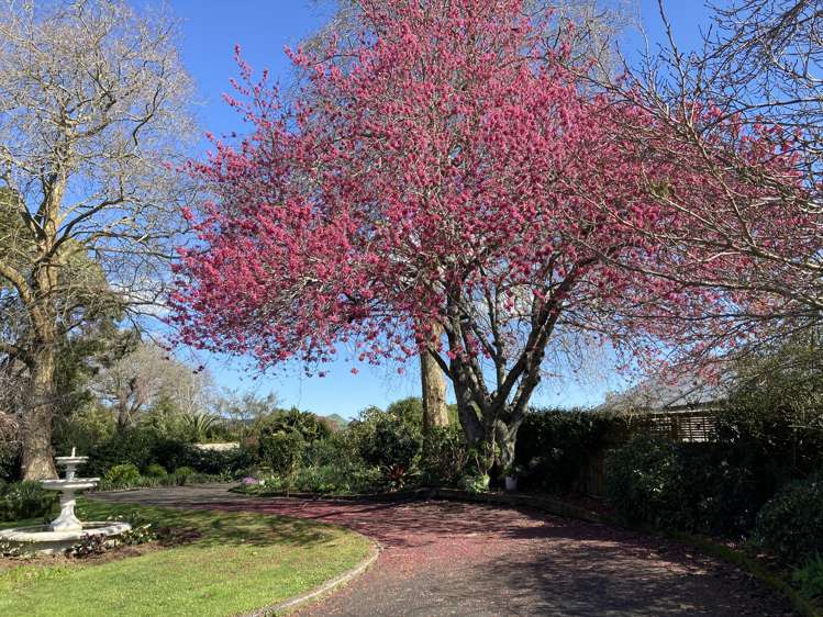 57 Hydro Road Karapiro_24