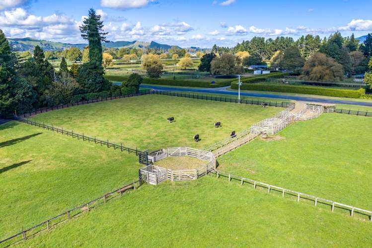 299, 1/289 2/289 Thornton Road Cambridge_4