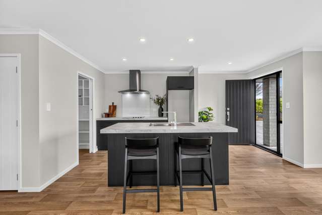 488a Thames Street Morrinsville_4