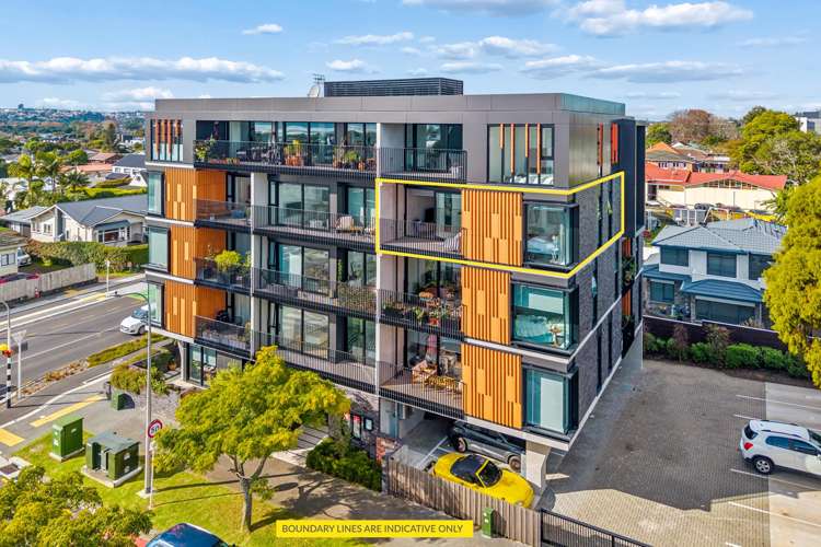 302/2 Miller Street Point Chevalier_13