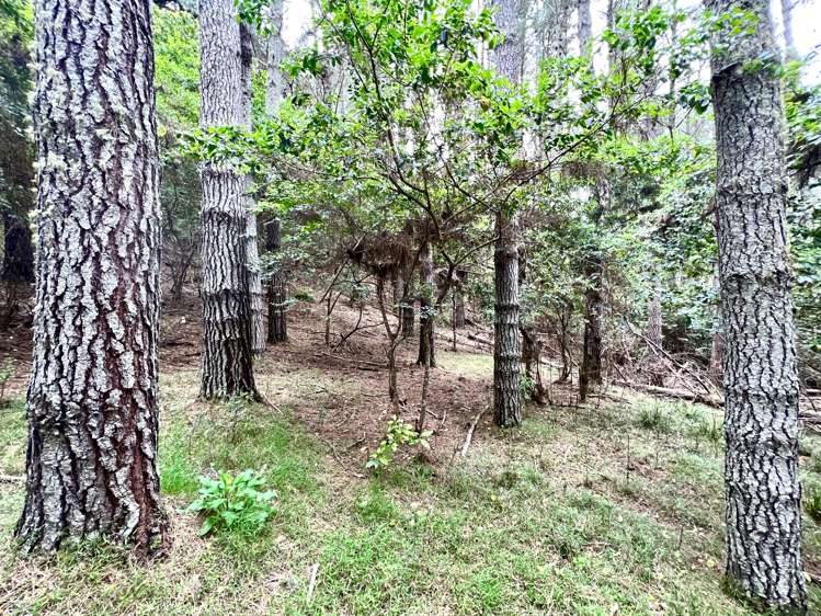 637a Awahou Road Murupara Surrounds_23