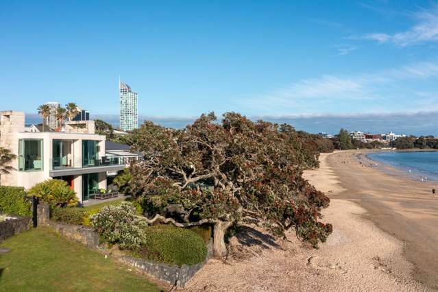 25 Park Avenue Takapuna_2