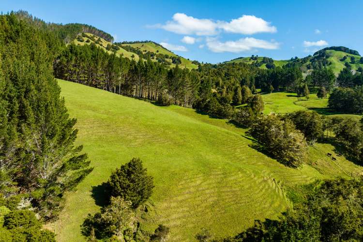 255 O'Carroll Road Maungakaramea_9