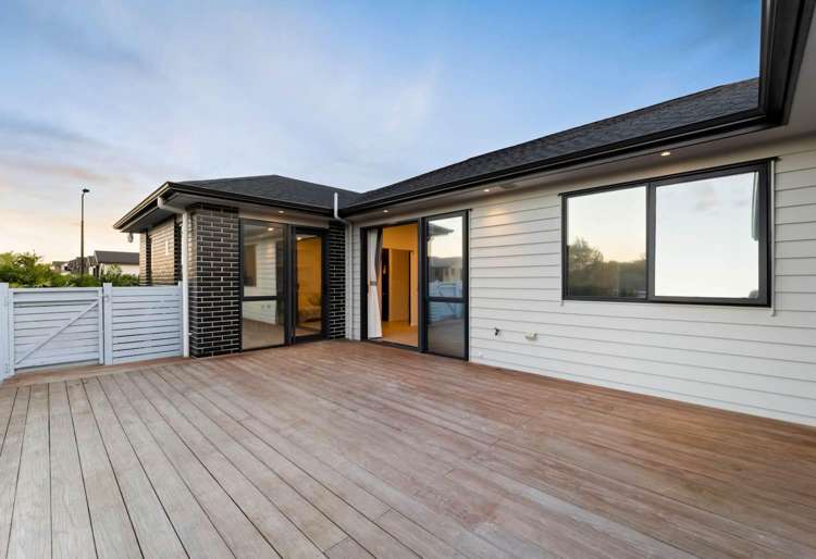 22 Kauri Gum Rise Swanson_17