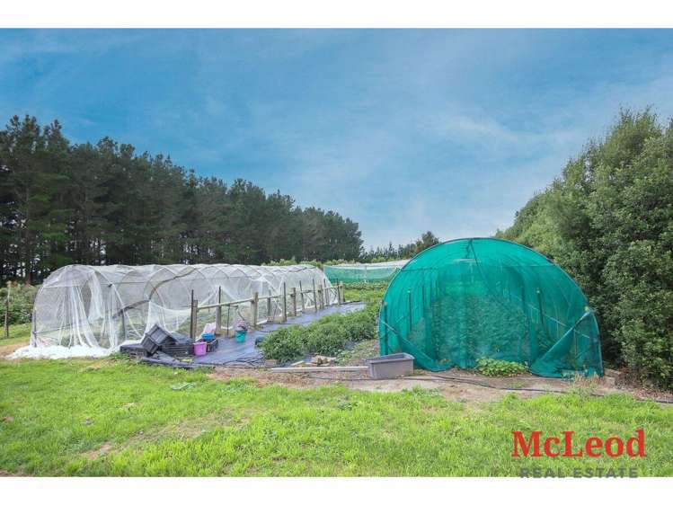 1742 Grahams Road Eiffelton_15