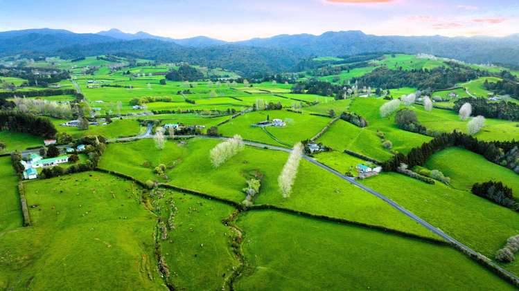 Waitawheta Road Waihi_4