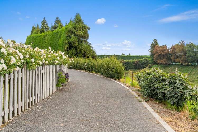 99 Homewood Drive Te Puke_14