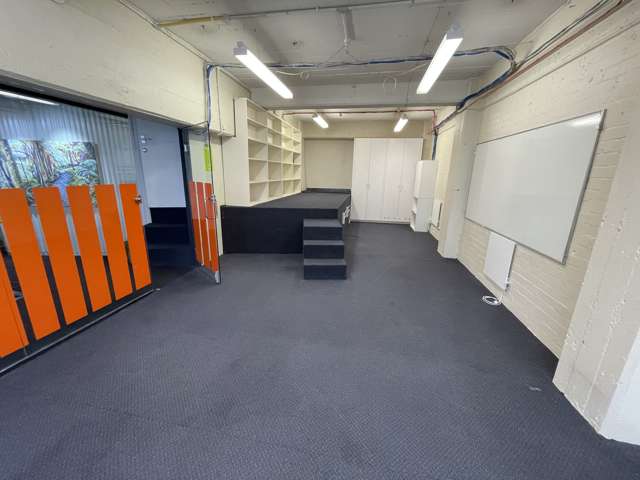 104 Vivian Street Te Aro_1