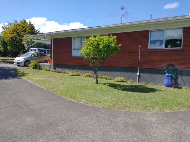 132 Seddon Street Pukekohe_2