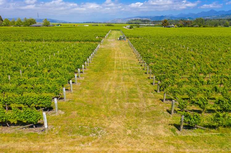 33 Rapaura Road Rapaura_10