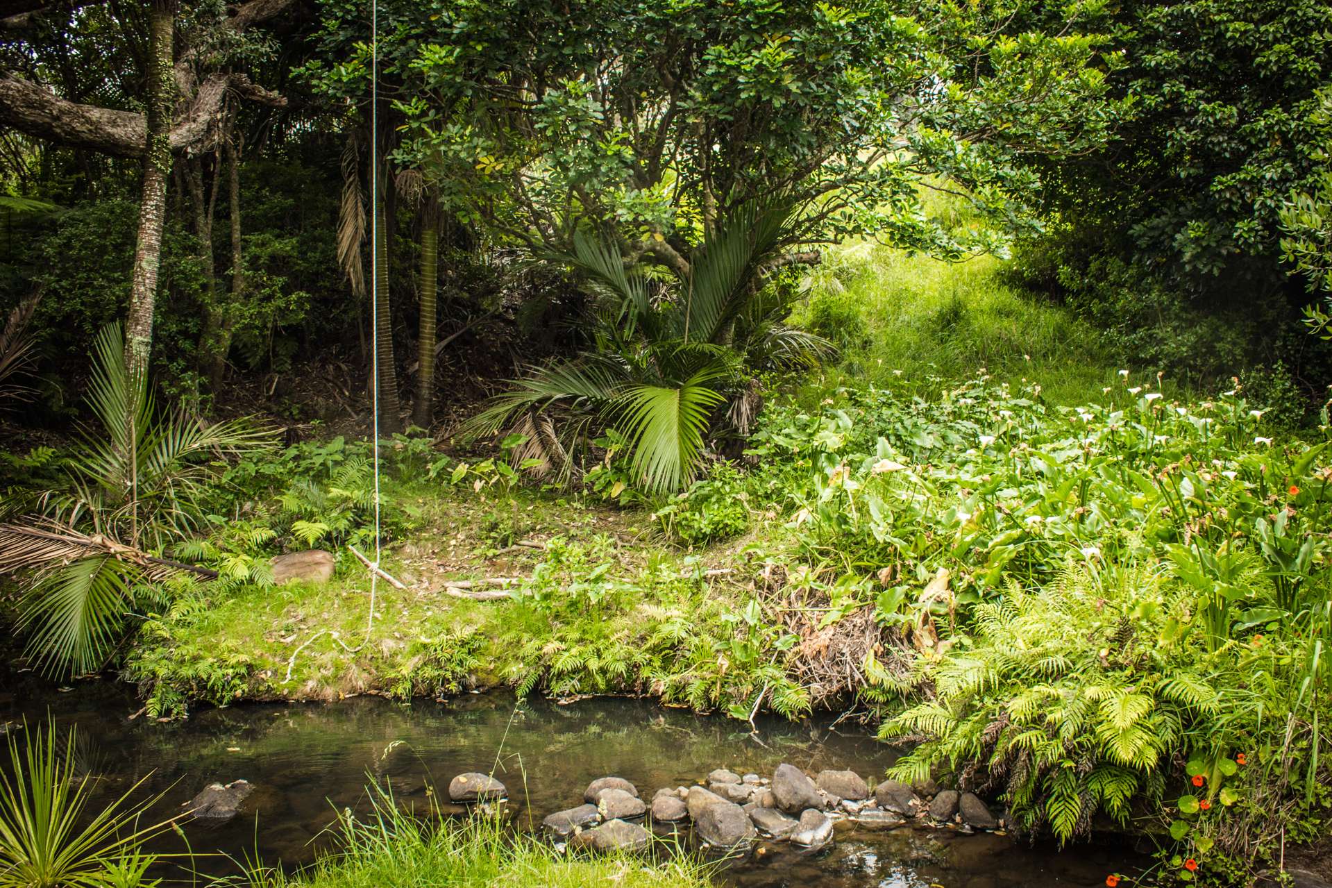 15c Garden Road Great Barrier Island (Aotea Island)_0