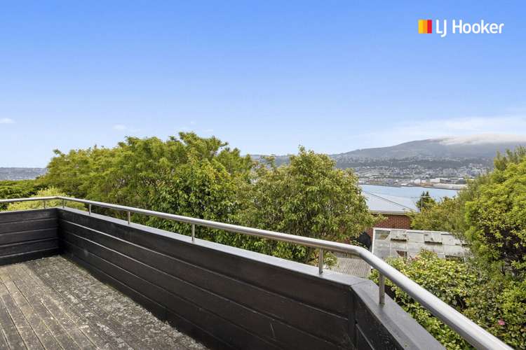 195 Larnach Road Waverley_13