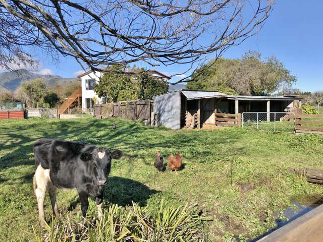 117 Abel Tasman Drive Takaka_1