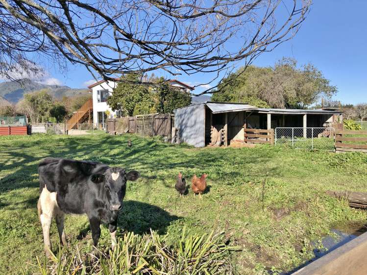 117 Abel Tasman Drive Takaka_1