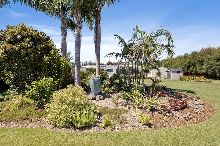 74 Avocado Lane Mangawhai_17