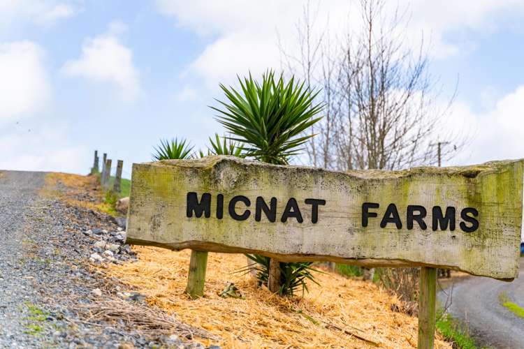 2682 State Highway 1 Brynderwyn_19