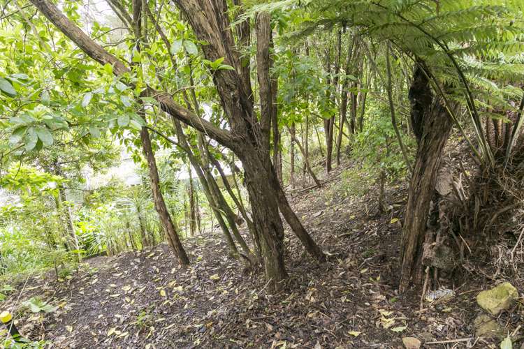 25 Postgate Drive Whitby_18