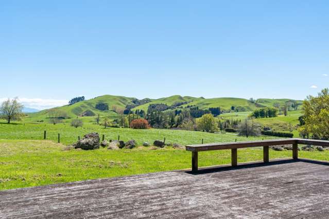 178 Mangatutu Road RD2 Maihiihi_3