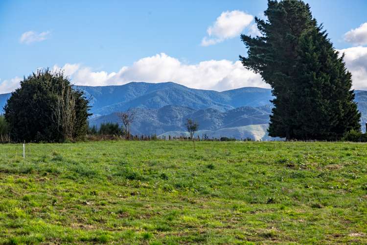 35 Cotterville Crescent Greytown_5