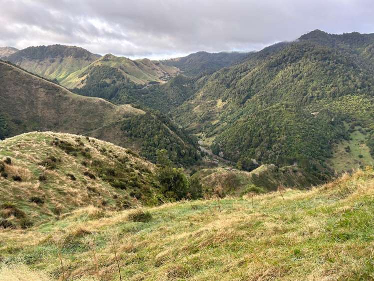 7957 State Highway 2 Opotiki Surrounds_6