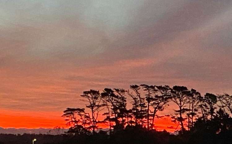 74 Travis View Drive Fairview Heights_30